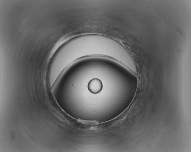 X0000115240056200911131712