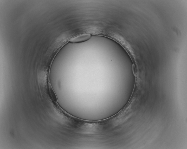 X0000115240057200911131712