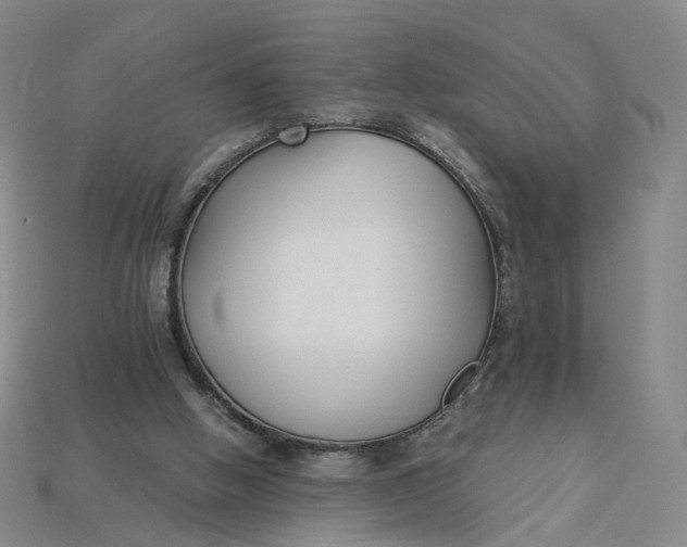 X0000115240058200911131712