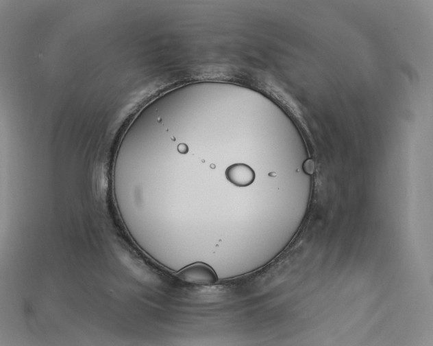 X0000115240059200911131712