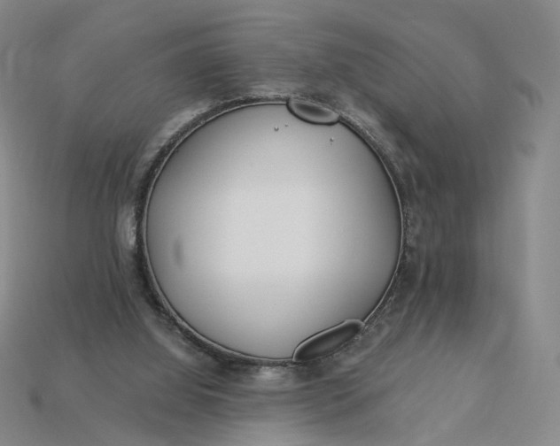 X0000115240060200911131712