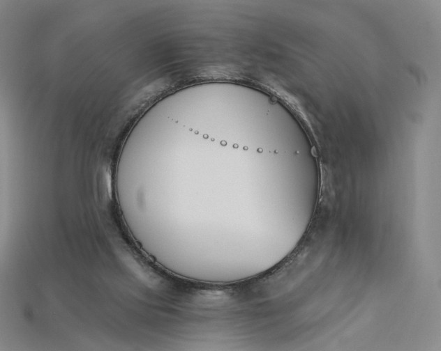 X0000115240061200911131712