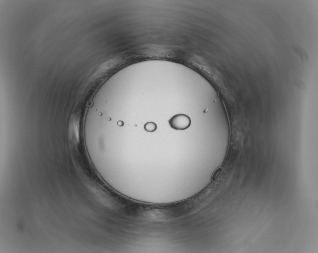 X0000115240062200911131712