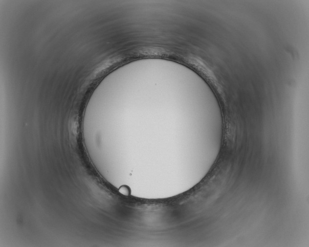 X0000115240063200911131712
