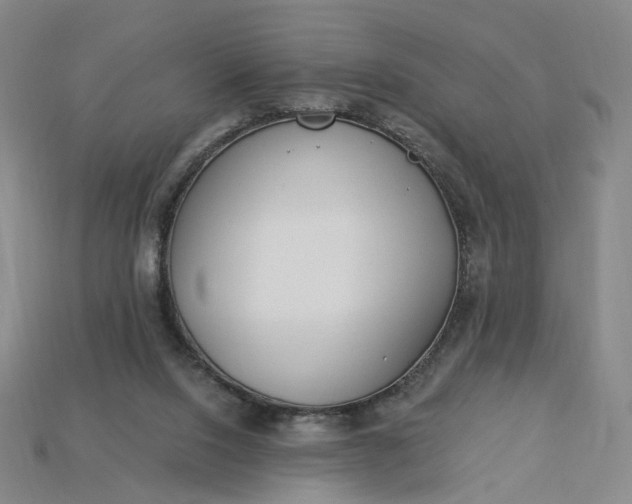 X0000115240064200911131712