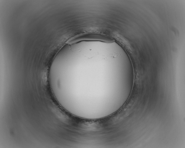 X0000115240065200911131712