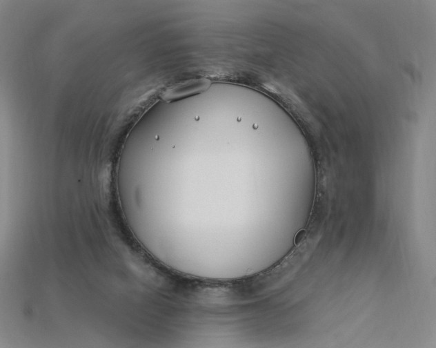 X0000115240066200911131712