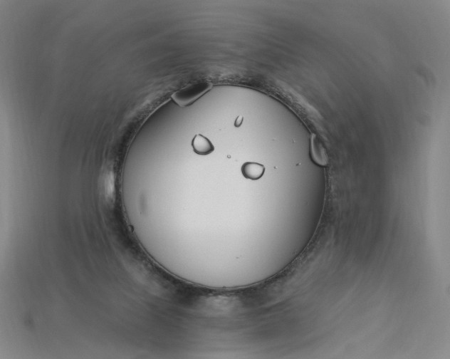 X0000115240067200911131713