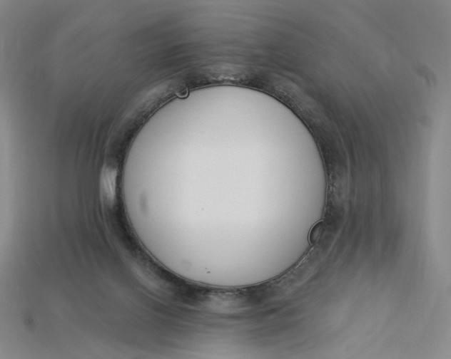 X0000115240070200911131713