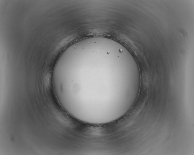 X0000115240071200911131713