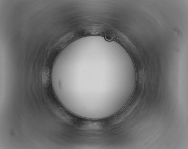 X0000115240073200911131713