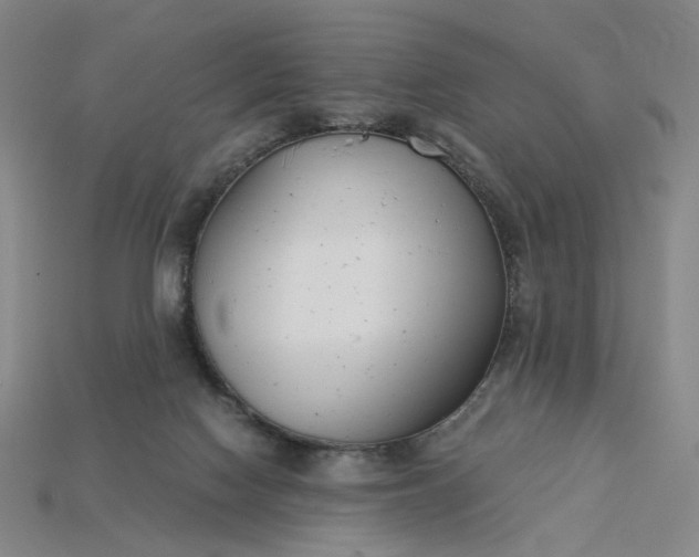X0000115240074200911131713