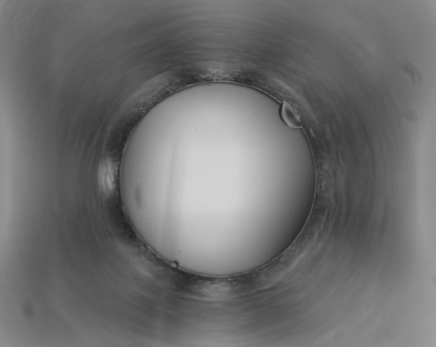 X0000115240075200911131713