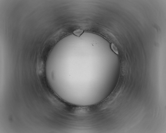 X0000115240077200911131713