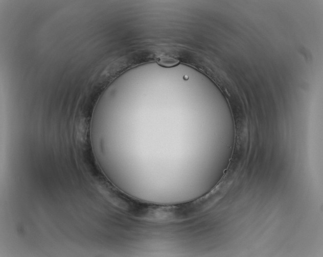 X0000115240078200911131713