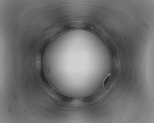 X0000115240080200911131713