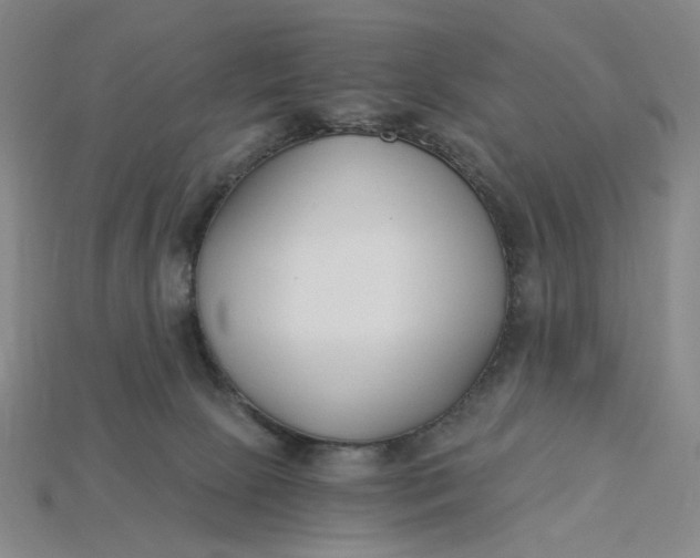 X0000115240081200911131713
