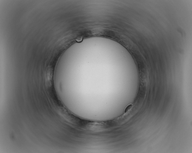X0000115240082200911131713