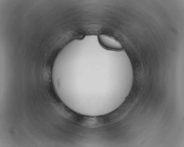 X0000115240083200911131713