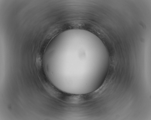 X0000115240086200911131713