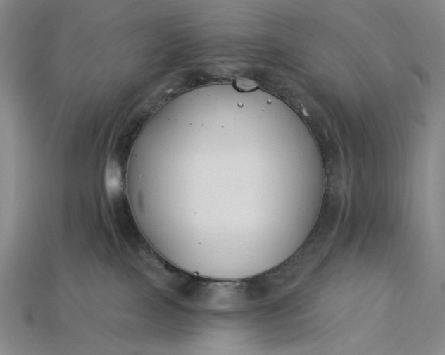 X0000115240089200911131713