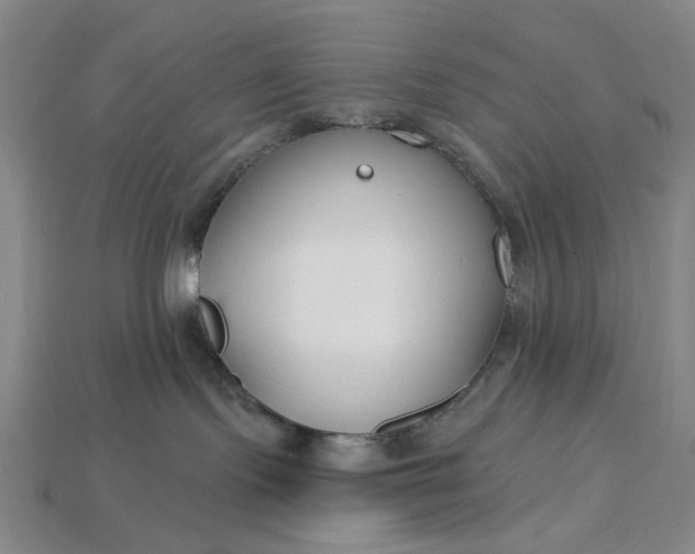X0000115240095200911131713