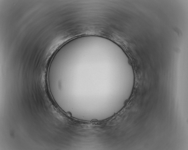 X0000115240098200911131712