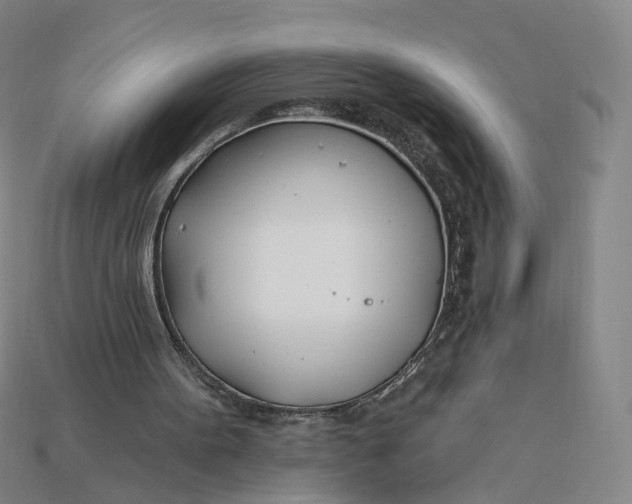 X0000115240099200911131712