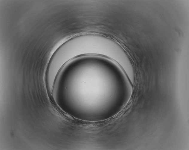X0000115240100200911131712