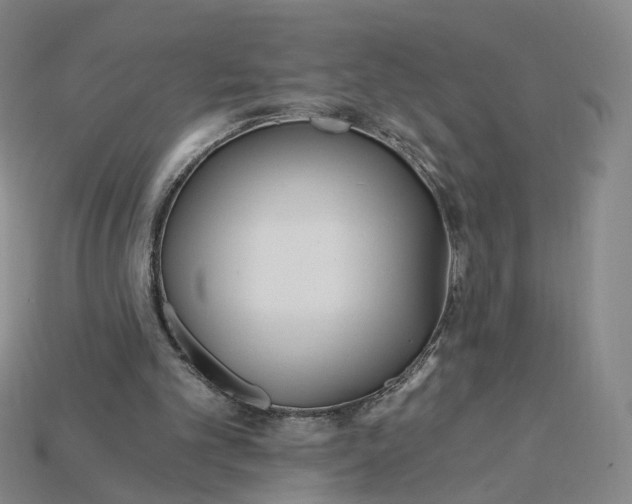 X0000115240101200911131712