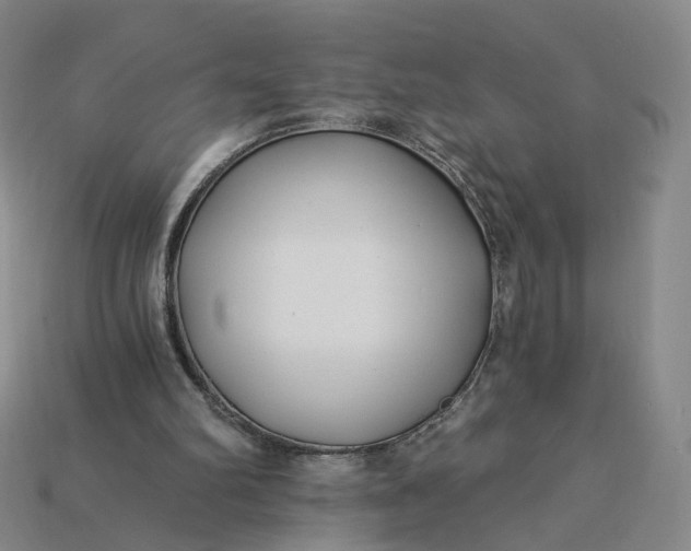 X0000115240102200911131712