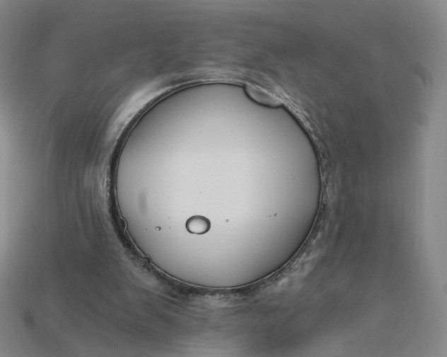 X0000115240103200911131712