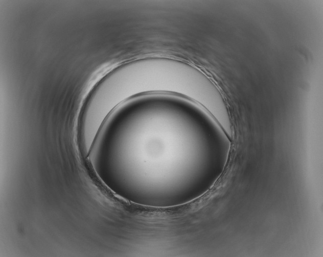 X0000115240104200911131712
