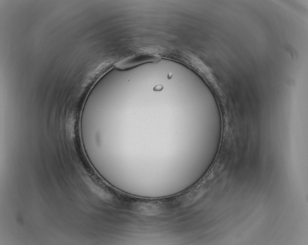 X0000115240106200911131712