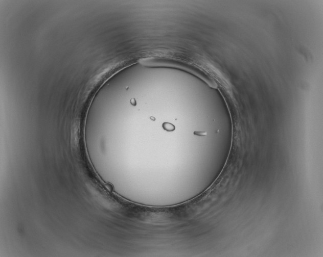 X0000115240107200911131712