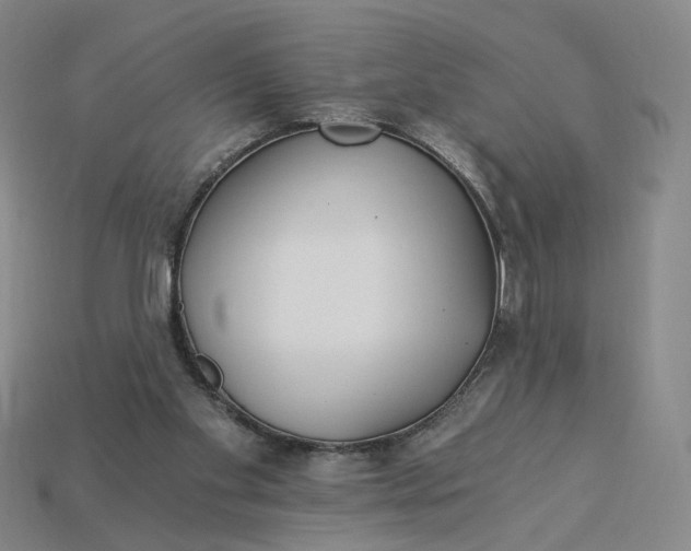 X0000115240109200911131712