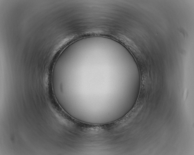 X0000115240112200911131712