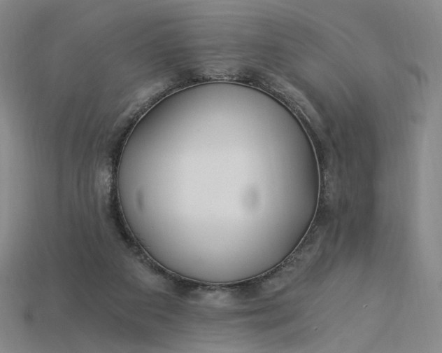 X0000115240113200911131712