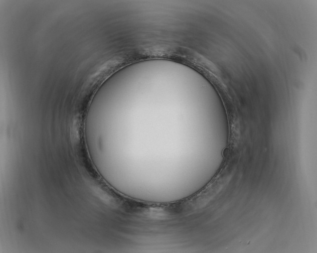 X0000115240114200911131712