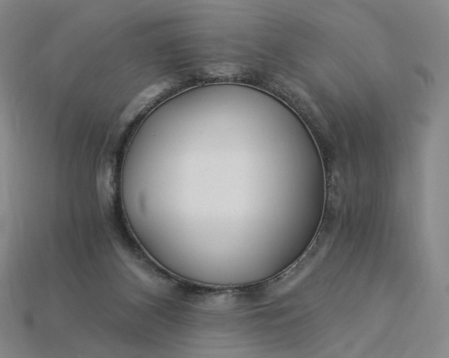 X0000115240116200911131712