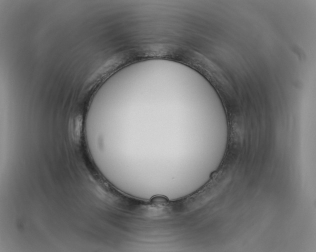 X0000115240118200911131712