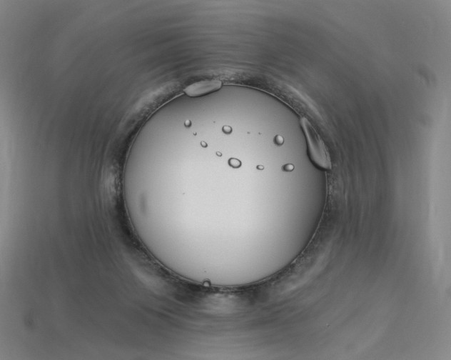 X0000115240119200911131712