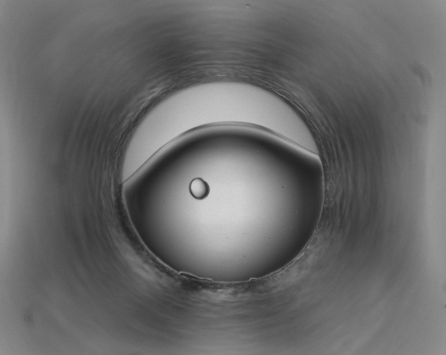 X0000115240120200911131712