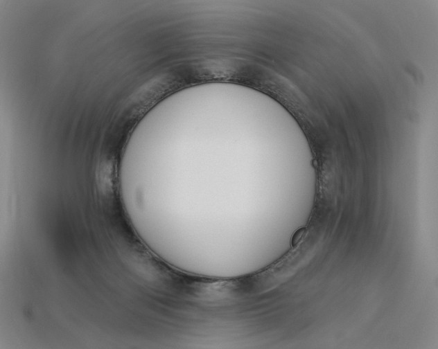X0000115240122200911131712