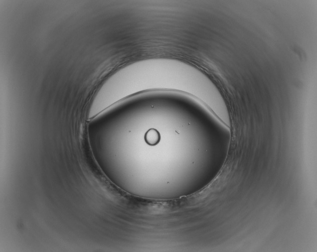 X0000115240124200911131712