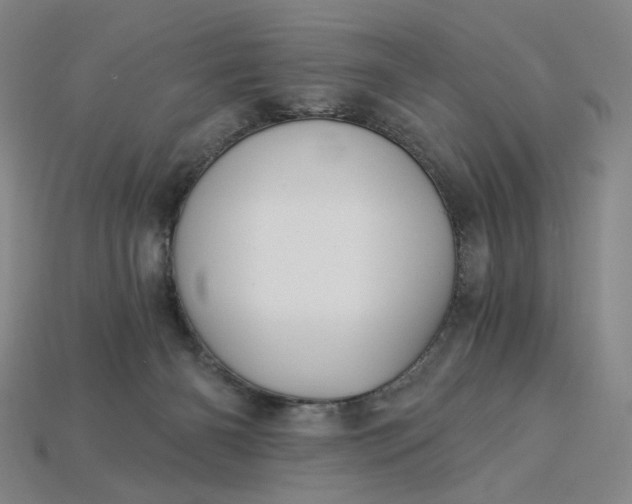X0000115240126200911131712