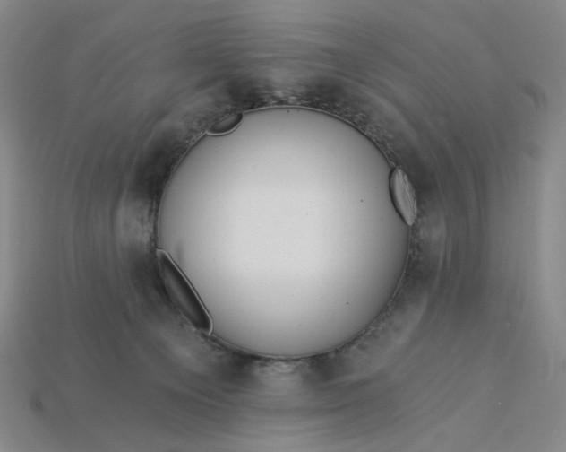X0000115240129200911131712