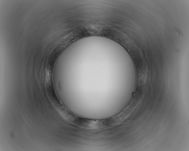X0000115240130200911131712