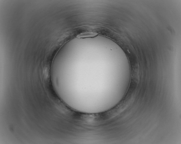 X0000115240131200911131712