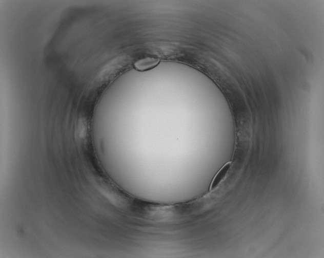 X0000115240132200911131712